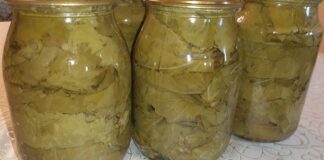 Кухар розповів, як правильно закрити виноградне листя для голубців