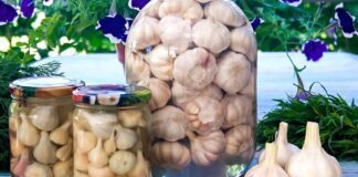 Кухар розповів, як правильно замаринувати часник