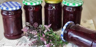 Кулінар розповів, як приготувати варення з 10 листочків меліси