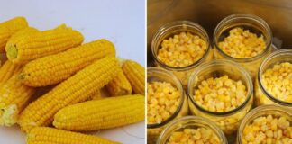 Експерти розповіли, як правильно законсервувати кукурудзу