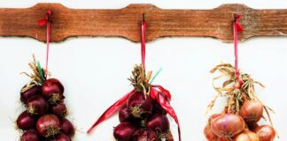 Дачник назвав 2 найкращі добрива для підживлення озимої цибулі