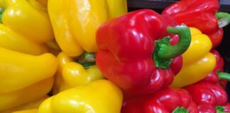 Експерти назвали найдієвішу підживку для перців у липні