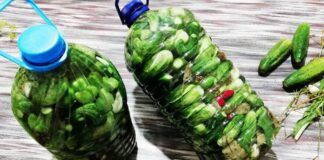 Кожного року засолюю так огірки: моя консервація завжди виходить надсмачна