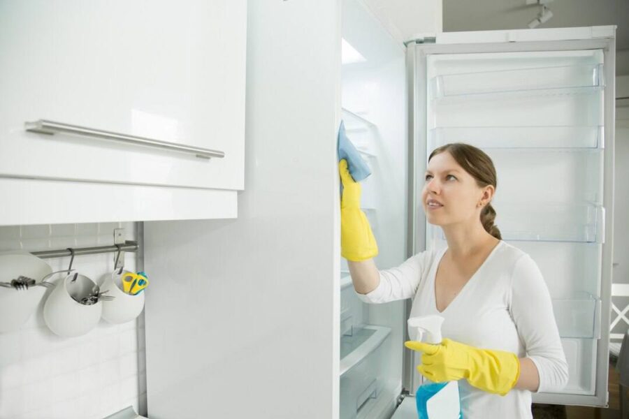 Як вимити холодильник після розморожування та усунути неприємні запахи