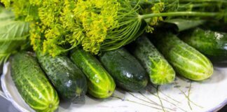 Всього 30 хвилин і солоні огірки готові