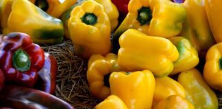 Ділюсь дієвою схемою поливу для перців, щоб рясно вродили