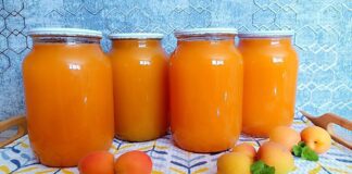 Не знаєте, як освіжитися? Приготуйте цей смачненний абрикосовий нектар