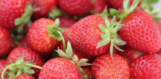 Експерти розповіли, чим підживити ремонтантну полуницю в листопаді