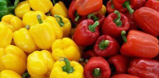 "Магічна" формула підживлення для перців: розкриваємо секрети для рясного врожаю