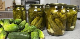 Холодний метод засолювання огірків