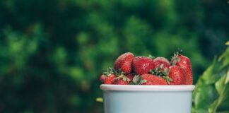  Городники розповіли, як підготувати полуницю до зими