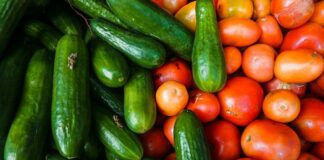 Хлібчик допоможе огіркам і помідорам