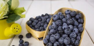 Експерти розповіли, як збільшити врожай лохини 