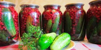 Солоні огірки з червоною смородиною: незвичайний рецепт