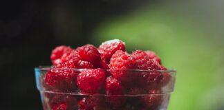 Як виростити велику та смачну малину за допомогою дріжджів