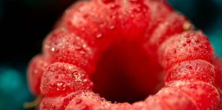 Городник розповів, як правильно і вчасно підживлювати малину