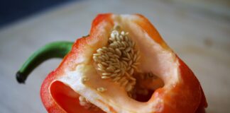 Чим удобрити перець для росту плодів