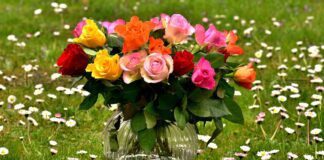 Експерти розповіли, як продовжити життя квітів у вазі без витрат