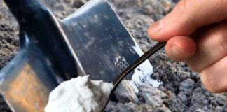 Городники розповіли про добриво для овочів, яке треба вносити раз на 50 років