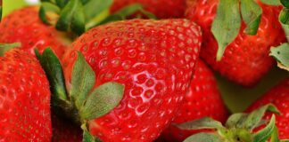 Агрономи порадили ефективне домашнє добриво для садової полуниці, яке підвищує врожайність