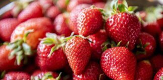 2 сорти полуниці, що дають врожай аж до заморозків 