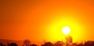 Метеорологи пояснили, чому в Україні настала аномальна спека і коли вона спаде 