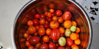 Як посадити помідори під зиму без теплиці: поради знавців