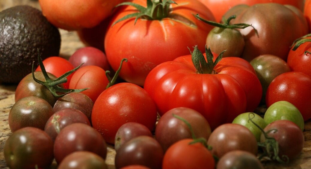 Як правильно давати помідорам воду: глибокий полив для томатів після якого плоди не тріскаються, не гниють 