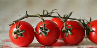 Як приготувати добриво для помідорів з йоду