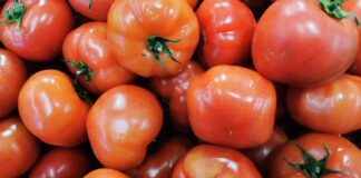 Чим підгодувати томати у липні