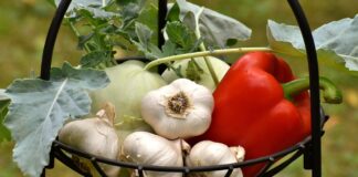 Городник розповів, що посадити на грядці після збору часнику