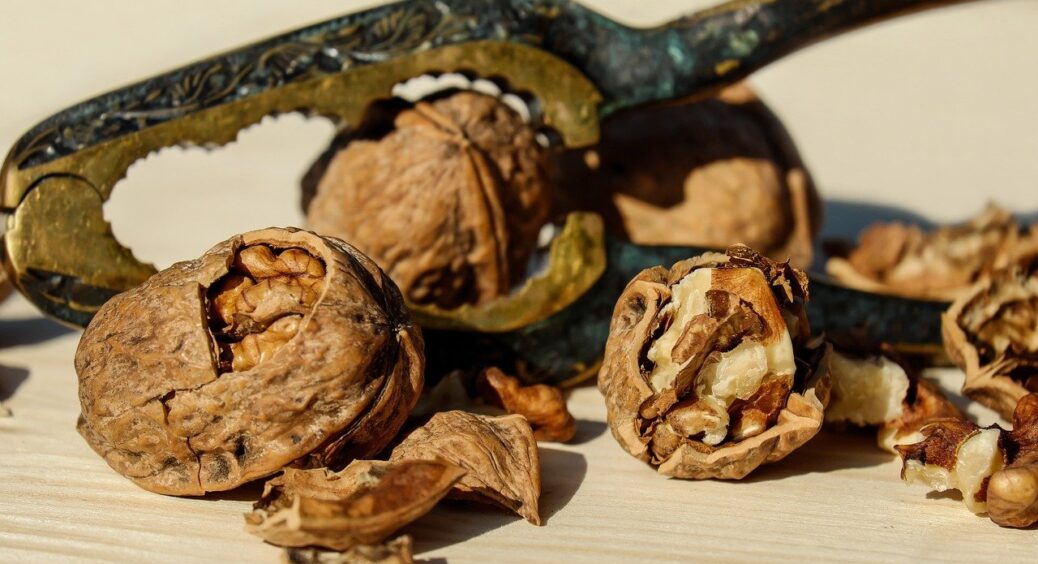 Хитрість сусідки, яка пропрацювала садівницею 38 років: у горщики з квітами покладіть горіхову шкаралупу 