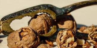 Квітникар розповів, як приготувати горіхове добриво для бутонізації квітів