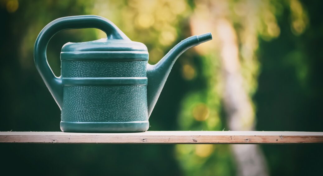 Правда чи міф: чи справді не можна поливати город у спеку вдень. І чому я раніше так не робила? Виправляюсь 