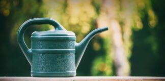 Чи можна поливати город у спеку