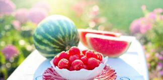 Городник розповів, як за допомогою ПВА підвищити врожайність кавунів