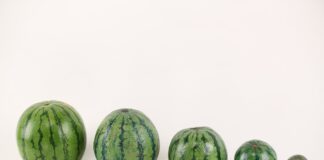 Експерти назвали найкраще добриво для підвищення цукристості кавунів