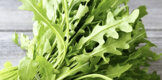 Як виростити руколу на підвіконні