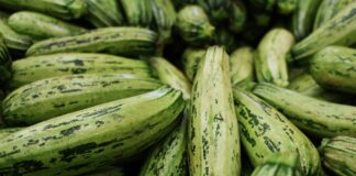 Як приготувати смачний літній салат з кабачків