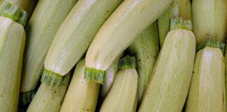 Як приготувати закуску з кабачків