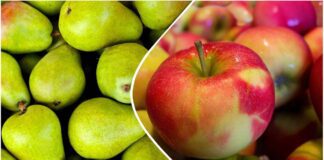 Садівники розповіли, коли варто збирати врожай груш та яблук