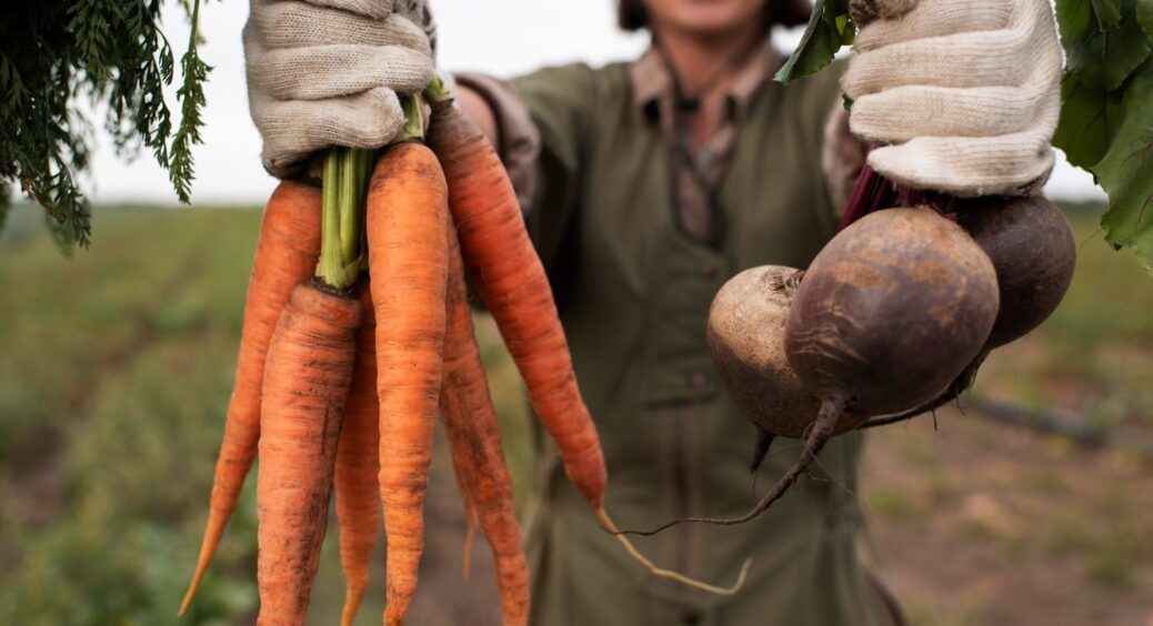 “Морквяний бустер”: як дядько Петро готує врожай моркви до збирання. 3 кроки до успіху – пролежить всю зиму 
