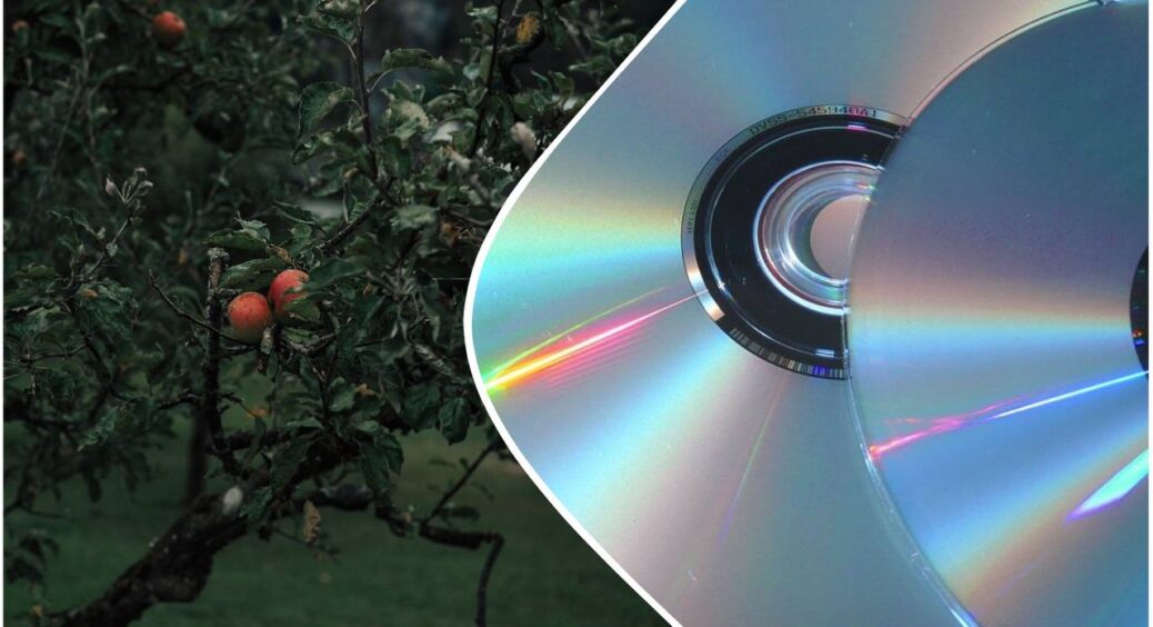 Беру кілька старих компакт-дисків і розвішую їх на деревах: це не “Вуду”, а геніальний “пристрій” для саду 