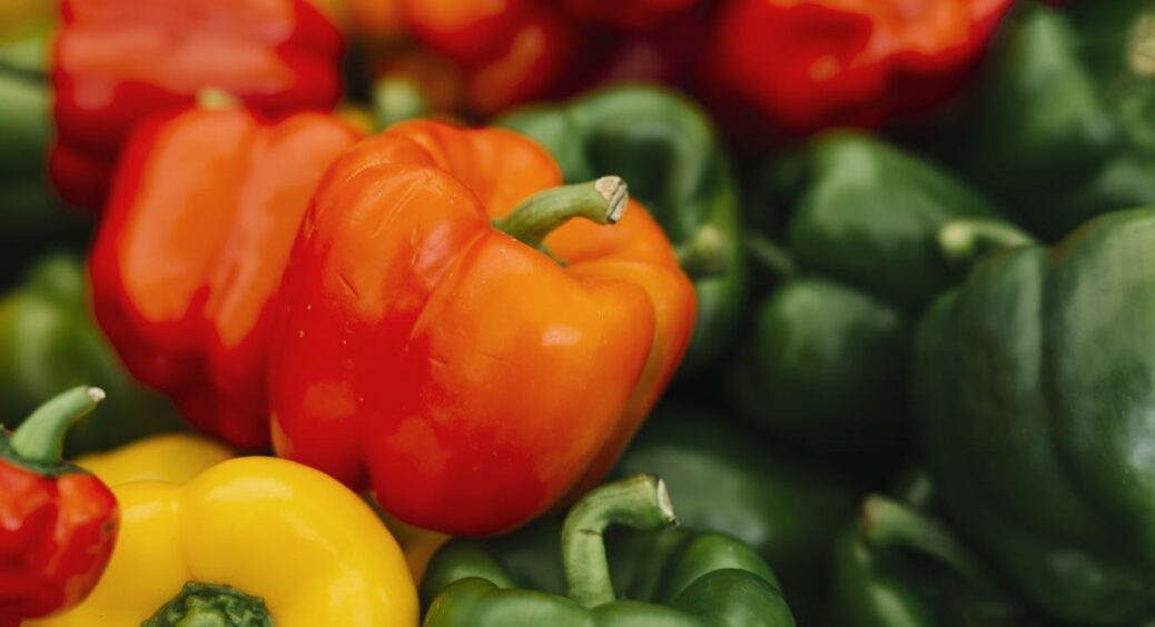 Вичитала в дачному журналі “золотий” рецепт посіву перцю: роблю не як всі, а моя розсада найкраща в селі 