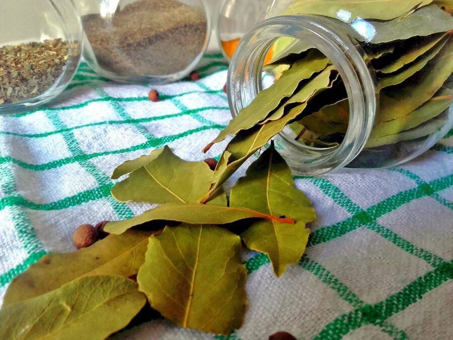 Тепер "лаврушку" використовую не тільки на кухні, а ще й у побуті