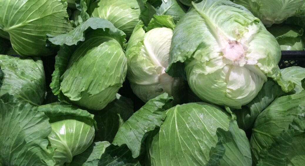 Від слимаків, попелиці та блішок: 1 універсальний продукт із кухні допоможе “вилікувати” всі качани капусти 