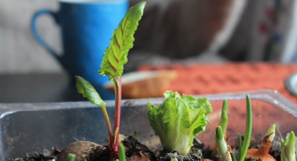 Наближаються 2 заборонених дня для всіх городників: не можна ні розпушувати, ні садити, ні підгодовувати 