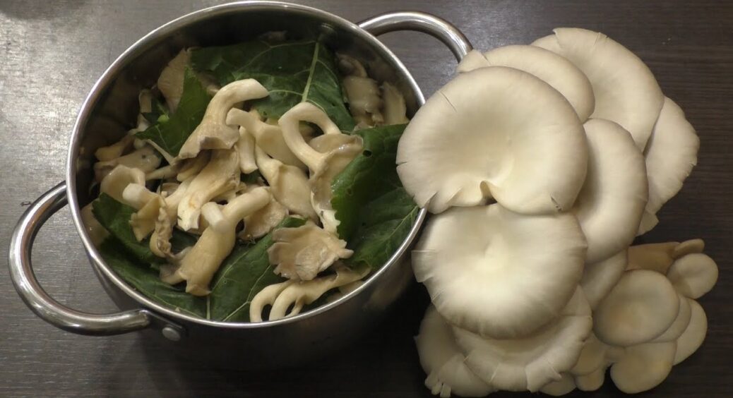 Печериці не купую вже 100 років, а роблю гливи за цим рецептом: виходить економніше і набагато ситніше 