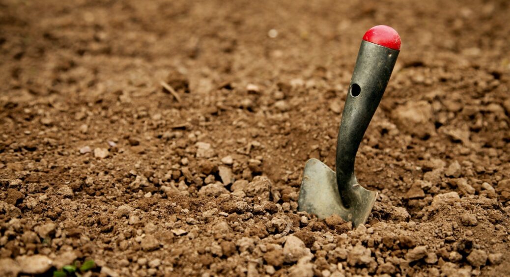 Нарешті “битва” з бур’янами завершена: дізналась про 4 способи, після яких на ділянці не залишається рослин 