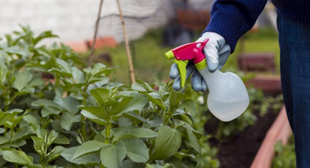 Я була вражена, наскільки це легко! 6 секретів фахівців для здорового саду без пестицидів і забруднень 